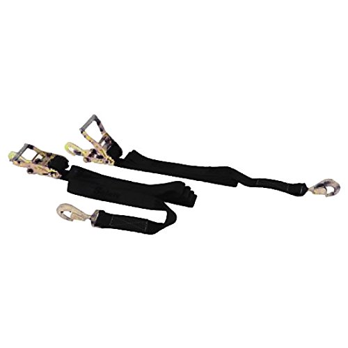 Speedway Motors Safety Racing Tie Downs, Purple 15 Straps, 5,000lb Break 1,666lb Work