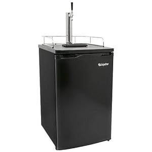 Medium sized kegerator with one tap