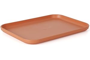 WOLEDOE Reptile Large Water Dish, Tortoises Food Bowl - S (9.5 * 6.7 * 0.6)