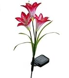 outdoor solar flowersï¼ŒSolar Garden Outdoor Decorative Landscape Lily Flower Light Color Changing Energy Saving LED Lamp