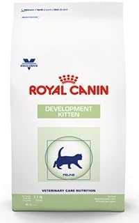 royal canin development kitten