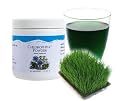 Chlorophyll Powder Unicity Dietary Supplement 3.23 Ounce