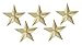 Forge 3D 5 Point Gold Star Lapel Pin (5 Pack)