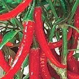 Chilli Pepper - Ring O Fire - Very HOT ! seeds