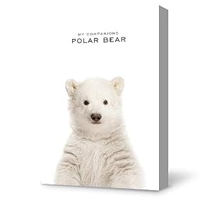 Fur Cute Bear Painting Wall Poster Decor for...