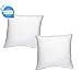 IZO Home Goods Set of 2, Outdoor Pillow Insert 18x18, Water Resistant Decorative Throw Pillow Inserts