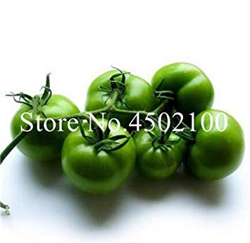 Bonsai 100 PC/Paquete del Arco Iris Raras Tomate Bonsai, Dulce ...