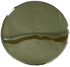 Otis Inc LA Lexus Chrome Wheel Center Cap