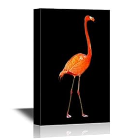 Red Flamingo Illustration on Black Background