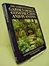 Complete Book of Garden Design, Construction and Planting by David Stevens (1992-01-06) by