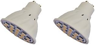 2.5W LED Spotlight GU10 21 SMD 5050 260-300 lm Warm White AC220-240V 2Pcs , 220-240v