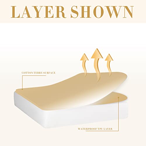 Safe and Sound Queen 100 Waterproof Premium Mattress Protector, Ultra