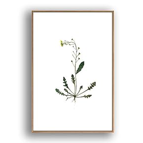 Framed Canvas Wall Art for Living Room, Bedroom Leaves Canvas Prints for Modern Home Decoration Ready to Hang - 16"x24" inches