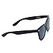 Reflective Revo Color Lens Large Horn Rimmed Style Sunglasses (Polarized - Black, 51)