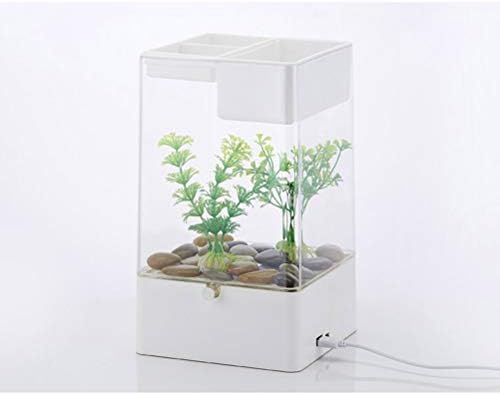 cheap small aquariums