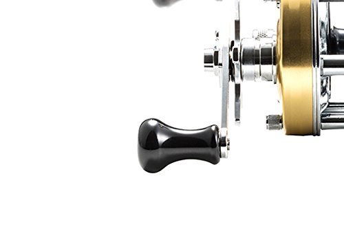 経典ブランド ベイトリール シャンパン 5500cs アブガルシア Abu ベイトリール ロケット Garcia 右ハンドル 17 アンバサダー B01mzhuiuz 素晴らしい価格 Kalbcares Com