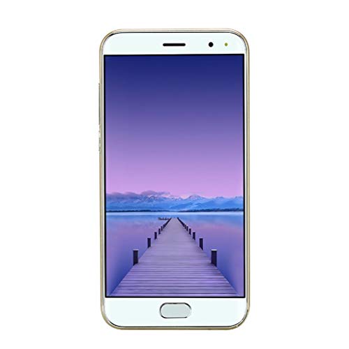 5.0 inch Dual SIM Smartphone Android 6.0 Full Screen GSM/WCDMA Touch Screen WiFi Bluetooth GPS 3G Call Mobile Phone (Gold)