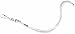Champion Sports Nylon Lanyards with J-Hook Clip, White - 12 Pack (Poly Bag)
