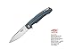 GANZO Firebird Pocket Folding Knife FH21 D2 Steel Blade G10 Handle with Clip Fishing Hunting Camping Outdoor EDC Knife (Grey)
