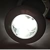 MARINE-BOAT-LED-COOL-WHITE-ROUND-CEILING-COURTESY-LIGHT-OEM-IP67
