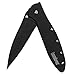 Kershaw Leek, Black Folding Knife (1660CKT); 3" 14C28N Sandvik Steel Blade, 410 Stainless Steel Handle, Both DLC-Coated; SpeedSafe Assisted Opening, Liner Lock, Tip Lock, Reversible Pocketclip; 3 OZ. primary