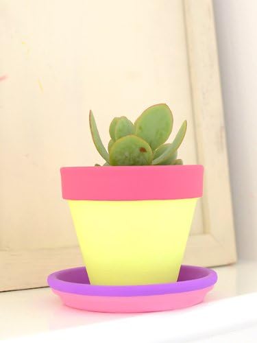 Amazon Popo ハンドペイント鉢 鉢受け 水受け ハンドペイントocco テラコッタ パープルxピンク 受皿