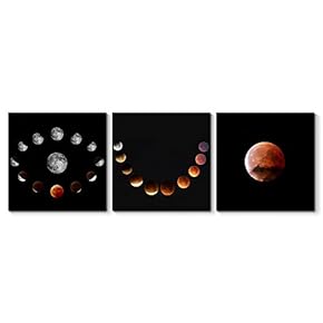 Beautiful Moon Painting Artwork for Home Framed x3 Panels