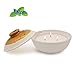 Winbattle Candle Scented Candle, Mint Aromatherapy Candles, Coarse Pottery Container,Natural Soy Waxthumb 1