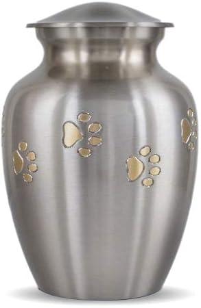 dog urns for ashes amazon