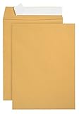 100 6 x 9 Self Seal Golden Brown Kraft Catalog