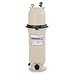 Pentair 160317 Clean & Clear Fiberglass Reinforced Polypropylene Tank Cartridge Pool Filter, 150 Square Feet, 150 GPM (Residential)