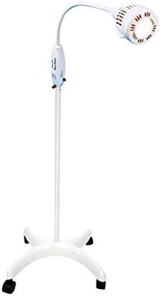 Philips Burton GL30W Gleamer Wall Mount with Extension Arm and Universal Mount, 120V Model
