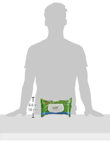 Seventh Generation Free and Clear Wipes Unscented - 64 Wipes