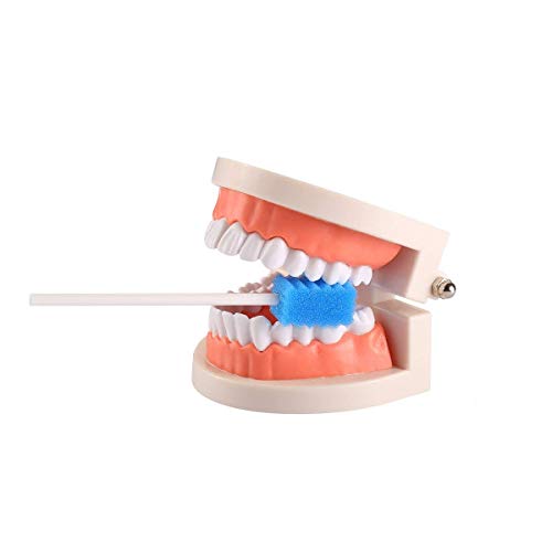 Disposable Unflavored Oral Care Sponge Swabs, Tooth Shape Blue (50 Count) - Thumbnail 5
