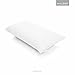 SLEEP TITE ENCASE Lab Certified Bed Bug Proof Pillow Protector - Hypoallergenic - 100% Waterproof - Queen Pillow Protector - Set of 2