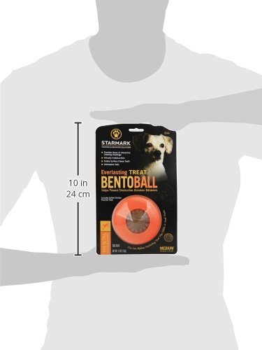 Starmark Everlasting Bento Ball - Medium