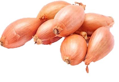Grower's Solution Dutch Yellow Shallot, 1 Pound