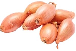 Grower's Solution Dutch Yellow Shallot, 1 Pound