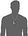 Marvel Comics Men's Stainless Steel Spiderman Double Dog Tag Pendant Necklace, 22