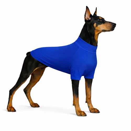 LoveLongLong Spring Summer Cooling Dog T-Shirt with UV Protection and Moisture-Wicking Fabric Blank Color Royel blue 2XL