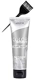 Joico COLOR INTENSITY Semi-Permanent Creme Hair Color (w/Sleek Applicator Tint-Brush) Cream Haircolor Dye (SILVER ICE)