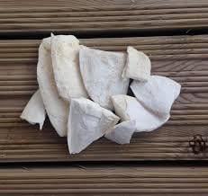 CUTTLEFISH BONE BOX OF 6