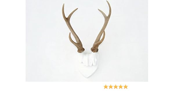 antler skyline 2 piece luggage