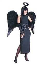 Adult Feather Angel Wings Costume Accessory