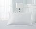 Orose 19mm Luxury 100% Pure Mulberry Silk Pillowcase, Good for hair, sleeping and facial beauty. Prevent from wrinkle and allergy. With hidden zipper. Gift wrap. (Standard, White)
