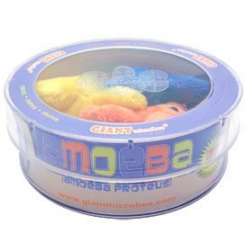 Giant Microbes Amoeba (Amoeba proteus) Petri Dish by Giant Microbes