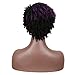 FASHION IDOL Synthetic Dreadlock Wigs Short Faux Locs Wig Ombre Purple Afro Twist Wig for African American 4C Wig for Black Women