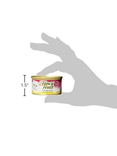 FANCY FIESTA GOURMET POLLO FIESTA CAT ALIMENTOS 3 OUNCE, 1 CAN