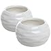 Set of 2 Round White Ceramic Textured Succulent Planter Pots/Decorative Herb Container Pots - 3.5 Inch