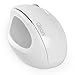 Qisan USB Wireless Ergonomic Vertical Mouse(E100) White